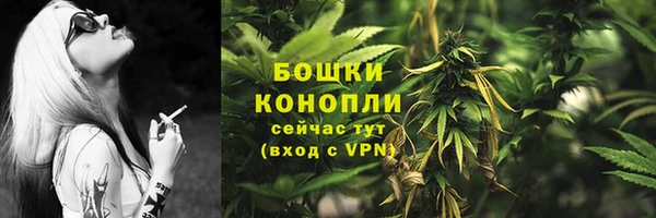 сатива Арсеньев