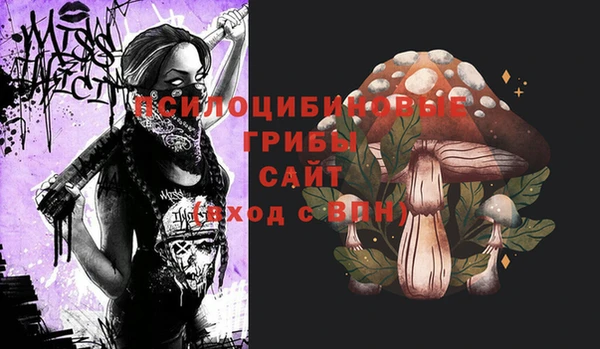 МДПВ Аркадак