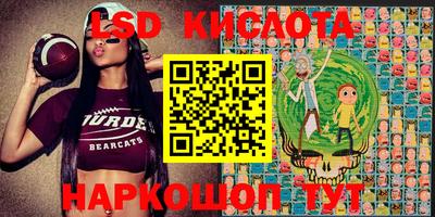соль ск Камышлов