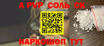 соль ск Камышлов