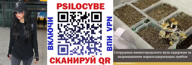 наркота  Можга  Галлюциногенные грибы MAGIC MUSHROOMS 