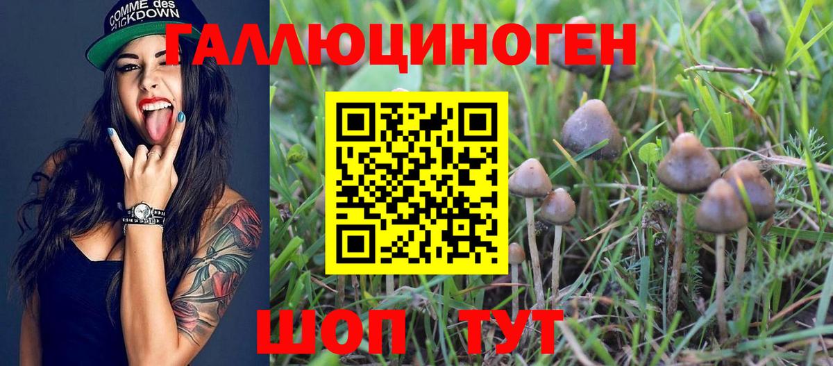 где купить наркоту  Вход с VPN  Можга  Псилоцибиновые грибы GOLDEN TEACHER 